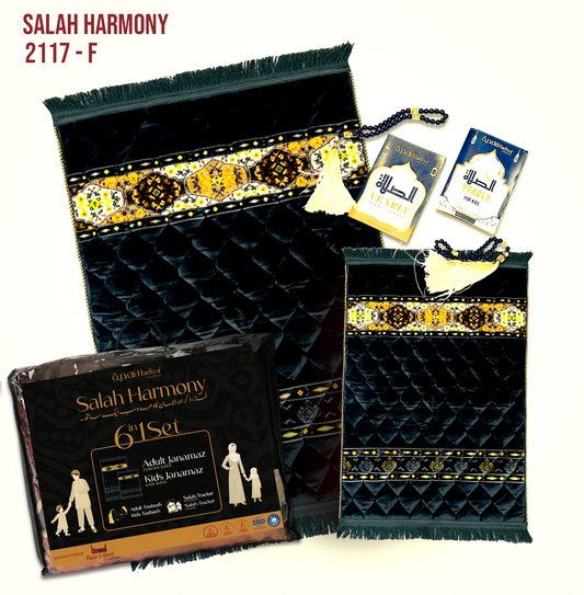 SH 6 in 1 Pack | 2117 - F - 024