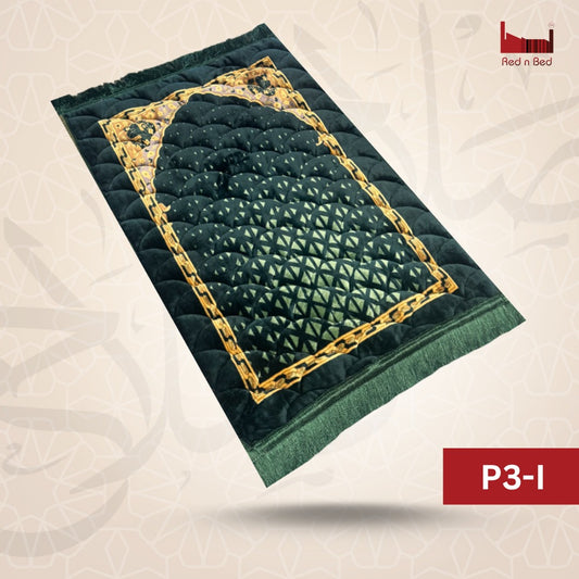 LS | P3-I D.green gumbad e khazra