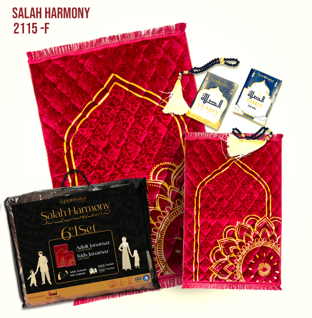 SH 6 in 1 Pack | 2115 - F - 029