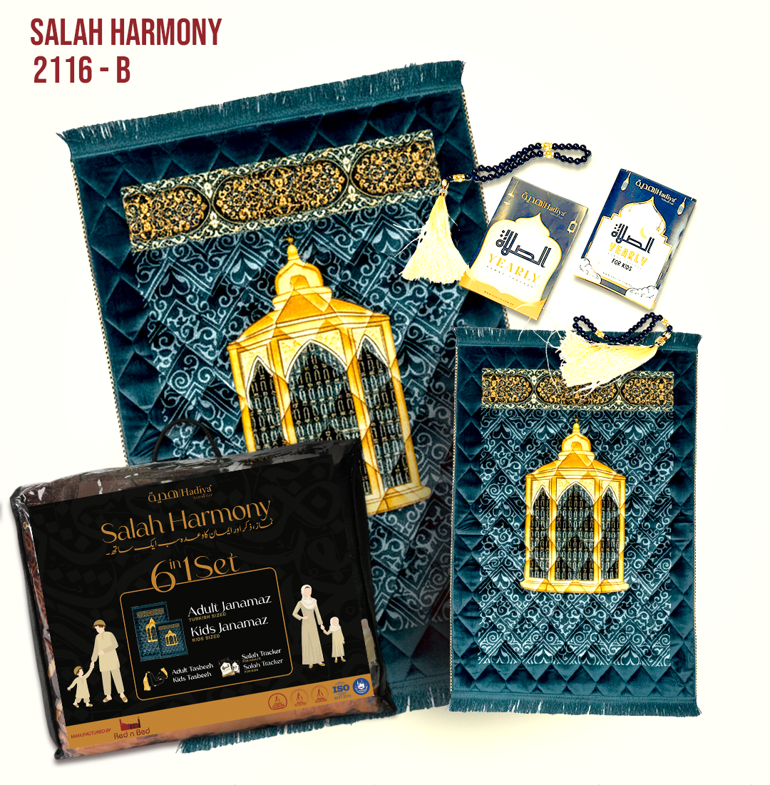 SH 6 in 1 Pack | 2116 - B - 013