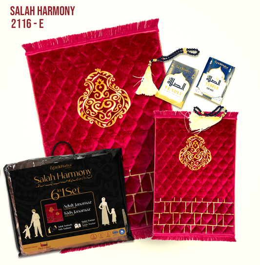 SH 6 in 1 Pack | 2116 - E - 030