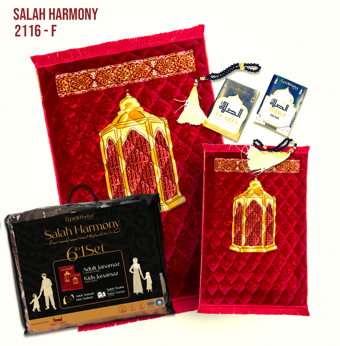 SH 6 in 1 Pack | 2116 - F - 028